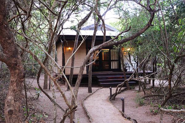 Umthiba Bush Lodge - 140438