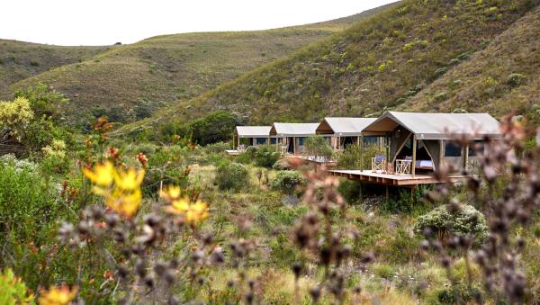 Tented Eco Camp 