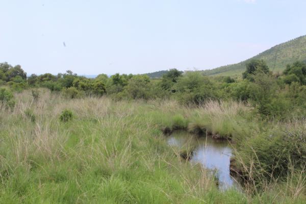 Manyane Resort - 140767