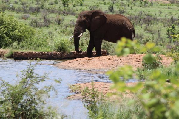 Manyane Resort - 140774