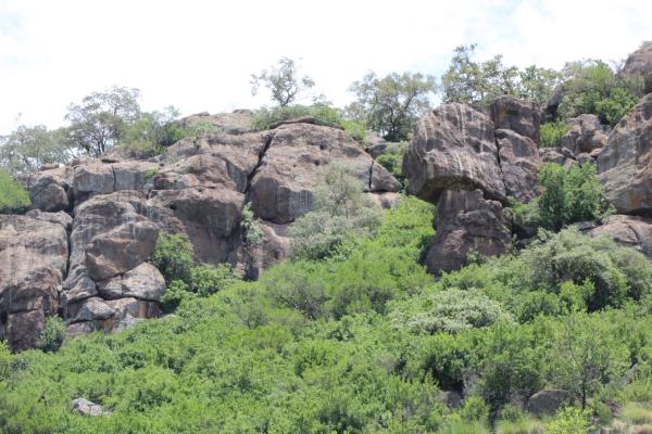 Manyane Resort - 140784