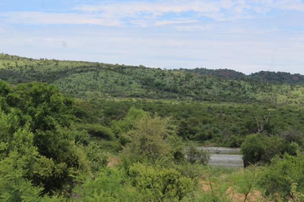 Manyane Resort - 140787
