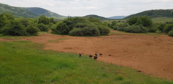 Bakgatla Resort - 140820