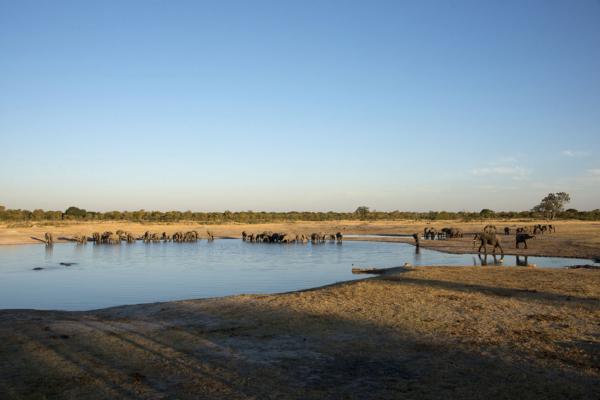 Hwange Safari Lodge - 141004