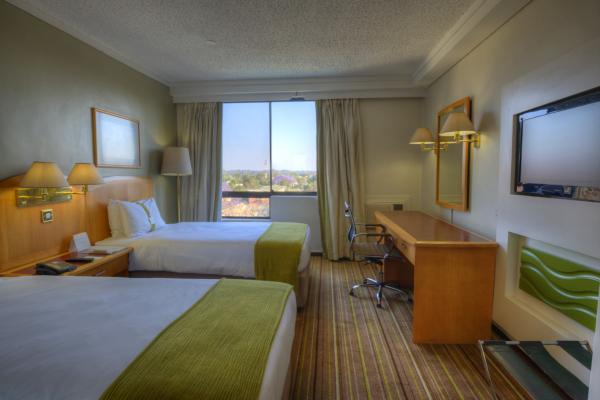 Holiday Inn Harare - 141035