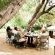 Tanda Tula Safari Camps - 141297