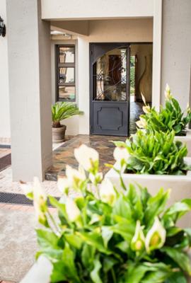 The Wild Olive Guest House - Pretoria - 141597