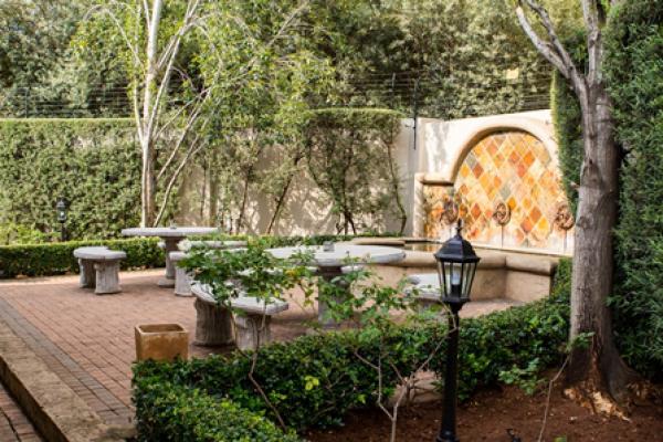 The Wild Olive Guest House - Pretoria - 141601