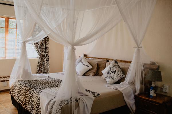 Cheetah Room 