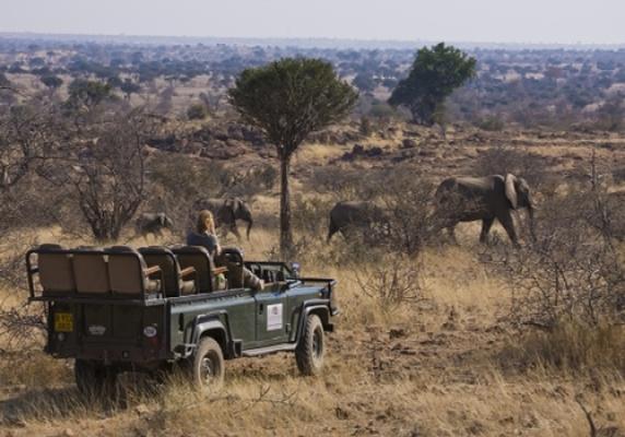 Tuli Safari Lodge