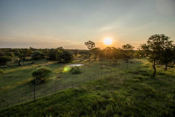 Dinokeng Game Reserve - 143309