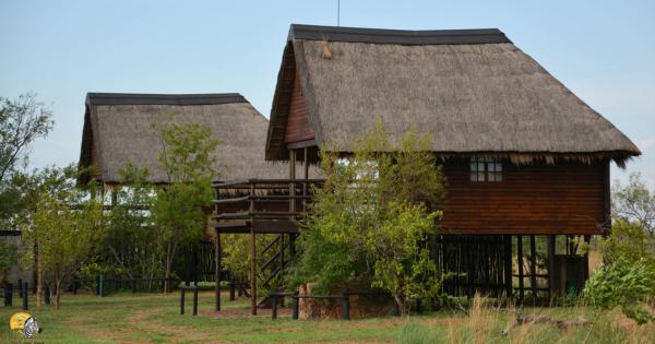 Dinokeng Game Reserve - 143312