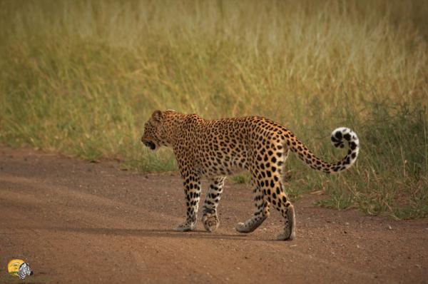 Dinokeng Game Reserve - 143313