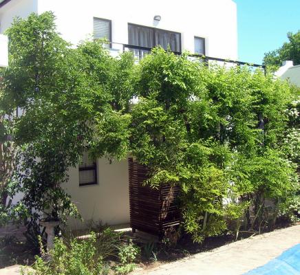 16 Rhodes-North Self-Catering Apartment  - 143317