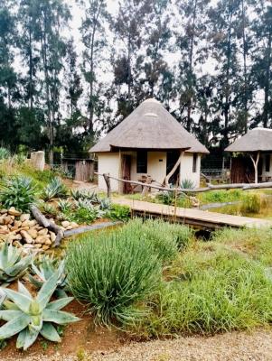 Addo African Home  - 143431