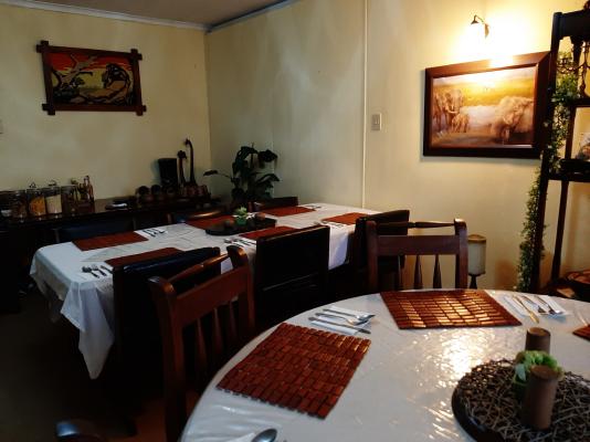 Zebra Guest House - 143615