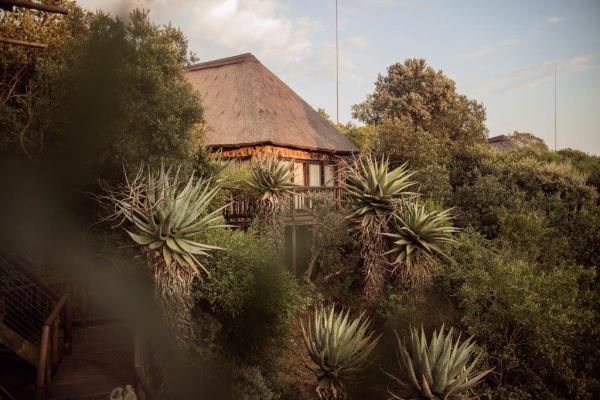 Iwamanzi Game Lodge - 143757