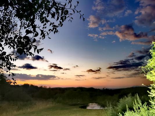 Motswiri Private Safari Lodge - 144375