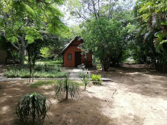 Pumusa Bushcamp - 144844