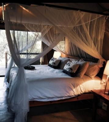 Little Africa Safari Lodge - 145631