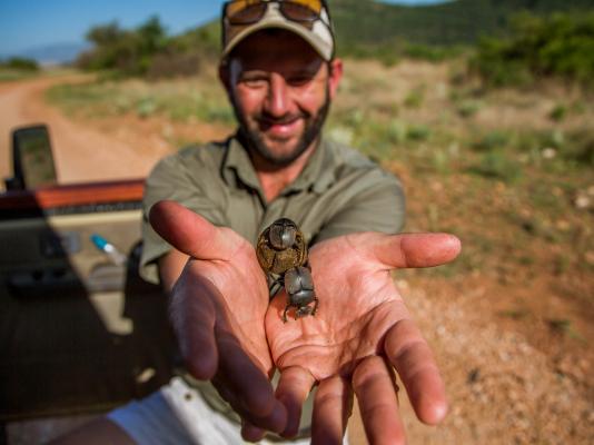 Nkomazi Game Reserve - 145740