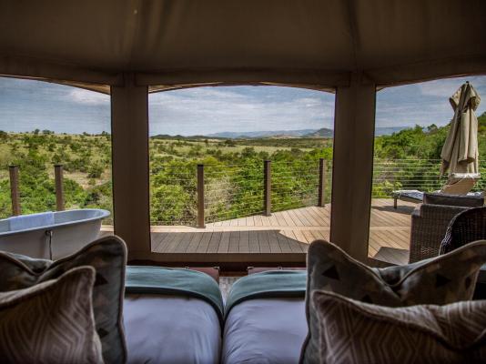 Nkomazi Game Reserve - 145764