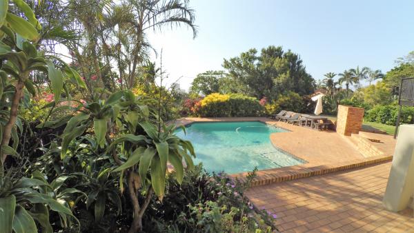 Crooked Tree Cottage Pool