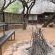 Kwalata Game Lodge - 146734