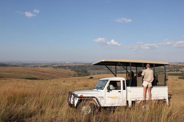 Game drives 