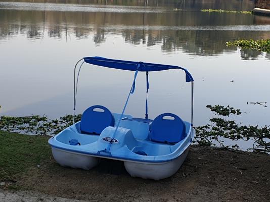 Paddle Boats 