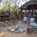 Chat about the day's sightings in our rustic boma.