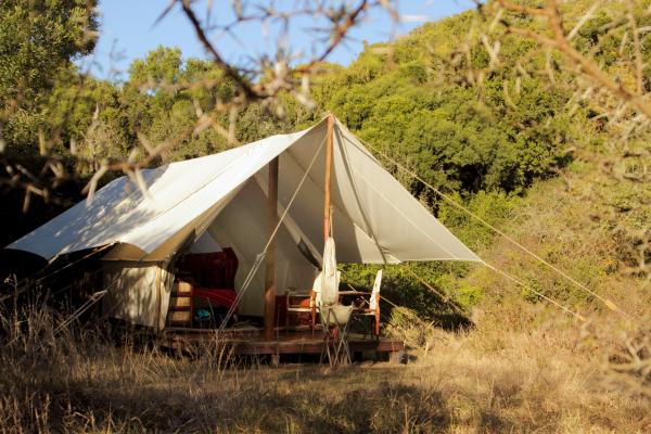 Enjoy a stay in our bush tents.