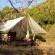 Enjoy a stay in our bush tents.