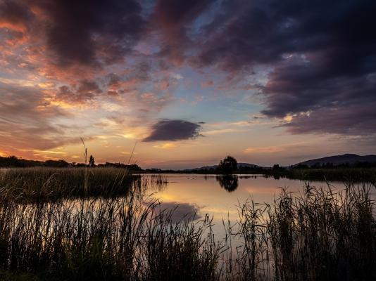 Valley of the Rainbow Fly Fishing Estate