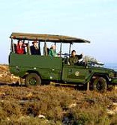 Self Drive Safari - Kruger Park