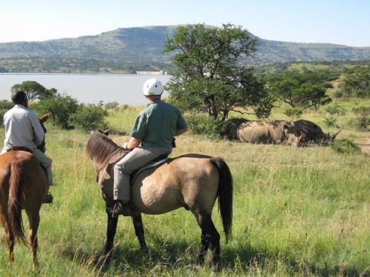 Horse Riding