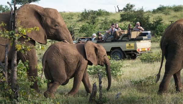 Mashatu Game Reserve