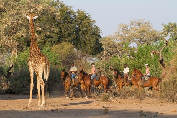 Mashatu Game Reserve