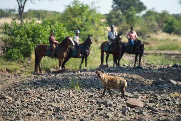 Mashatu Game Reserve