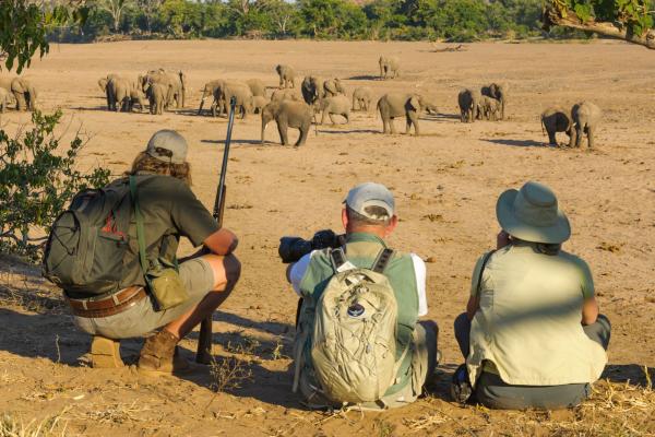 Mashatu Game Reserve