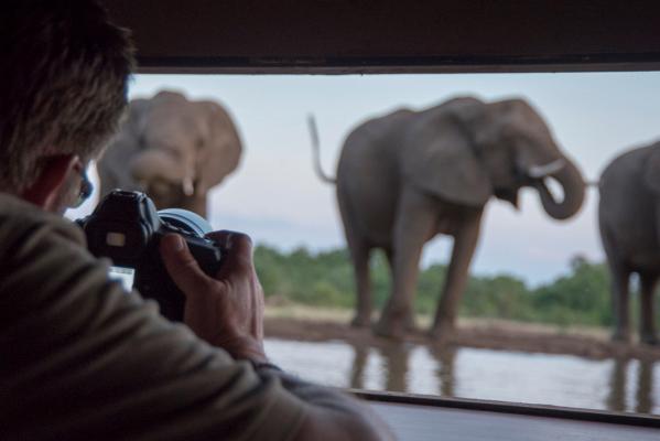 Mashatu Game Reserve