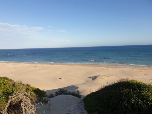 Pristine Beach