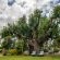 Green Olive Guesthouse - 150976 Green Olive Guesthouse - 150976