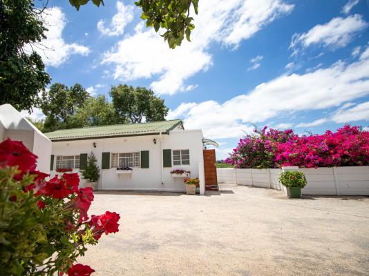 The Green Olive Guesthouse Robertson - 151256