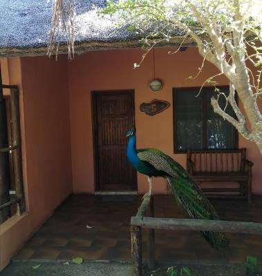 Umfolozi River Lodge & Birdpark - 151664