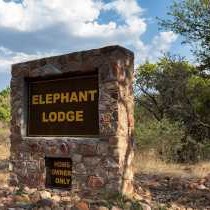 Mabalingwe Elephant Lodge - 151728