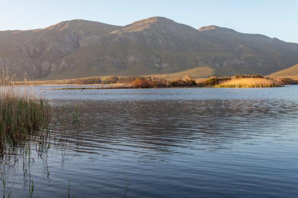 Rivers End Farm Stanford - 152217