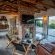 Sasi Bush Lodge - 153640