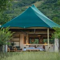 Sasi Bush Lodge - 153645