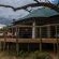 Sasi Bush Lodge - 153650